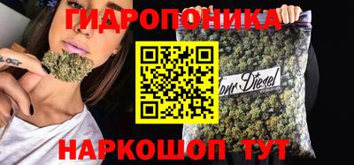 гашик Ипатово